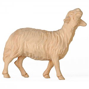 160015 - Schaf stehend Zirbel